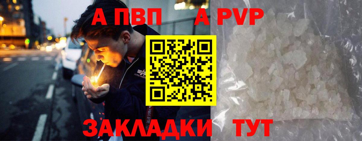 A PVP СК КРИС Новочеркасск