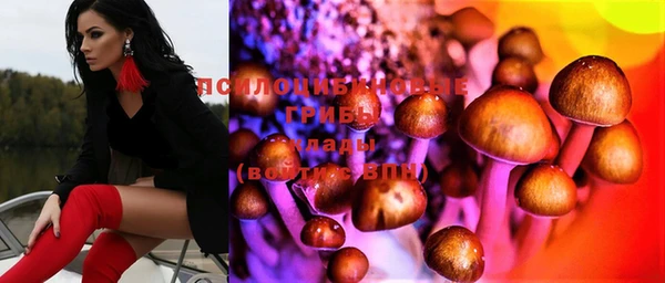 МДПВ Алексеевка