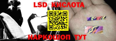 прущие грибы Жуковский