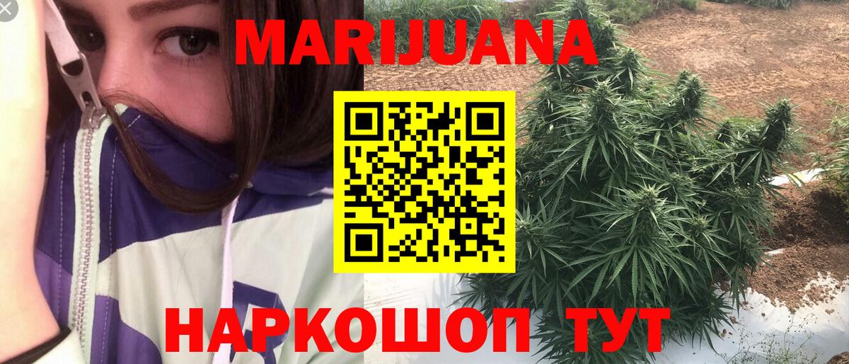 Конопля семена Новочеркасск